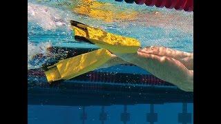 FINIS Zoomers and Z2s by GoSwim - SwimShop