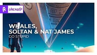 Whales, Soltan & Nat James - Go Stupid [Monstercat Release]