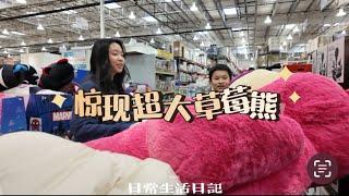 逛街搭子病倒了 | 带孩子们逛Costco日常 | costco本周特价