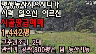 촌땅 시골밭 판매 평생농사지으시다가 눈이안좋아지셔서 급하게 판매한다고 합니다 1442평 의성군 사곡면 양지리