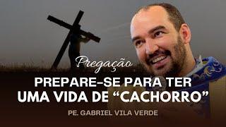 A BUSCA DA SANTIDADE - Pregação completa. | Pe. Gabriel Vila Verde