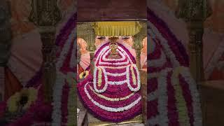 #khatushyam #shyam #khatushyambhajansanjaymittal #navratanpareek #sanjaymittalbhajn #MukeshBagda