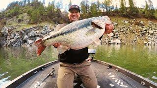 Cody Meyer's Potential World Record Spotted Bass