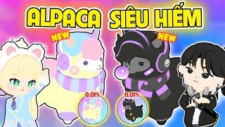 PLAY TOGETHER | BEDY SOLO MỞ HỘP PET ALPACA CÙNG MEO VÀ CÁI KẾT