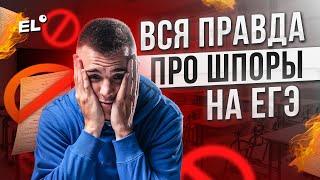 ВСЯ ПРАВДА ПРО ШПОРЫ ЕГЭ ОБЩЕСТВОЗНАНИЕ 2024 | Санчес Обществознайка EL