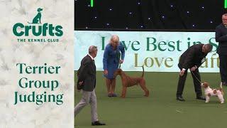 Terrier Group Judging | Crufts 2024