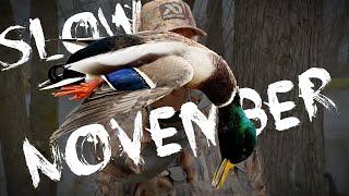 Slow November - Iowa Duck Hunting