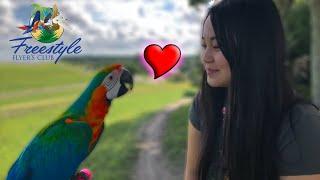 Why Birds Are Better Than Boyfriends!!!
