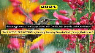 Fall Into Sleep Instantly, ︎ Healing, Relaxing Sound of Rain, Blooming Flowers Time Lapse Video