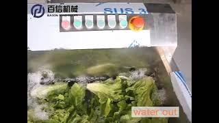 lettuce cleaning by bubble washing machine