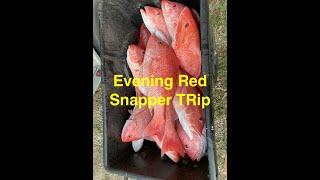 Evening Red Snapper Trip