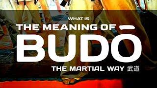 WHAT IS THE MEANING OF BUDO  |  KYOKUSHIN VLOG-44