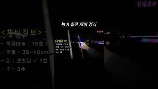 날아라 로켓찌!