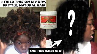 Mask With Me ft. Aztec Indian Healing Clay Mask on Natural Hair || Simone Nicole