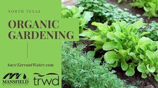 Organic Gardening in North Texas