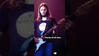 The Coolest Chord Ever! David Gilmour’s Echoing Genius #davidgilmour #pinkfloyd #rockstar #guitar