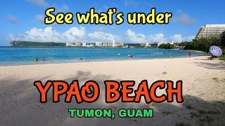 See What's Under Ypao Beach, Tumon Guam