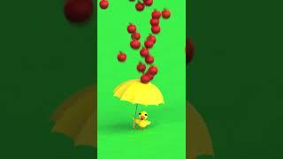Ducky Vs Apples  #apples #babyduck #funny