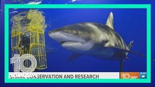 Local researchers are tracking sharks to help learn and preserve the species