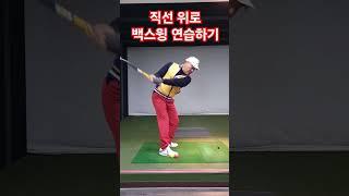파크골프 똑바로가는 백스윙연습