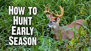 Early Season Hunting Strategies - Understand Bucks Behavior (833)