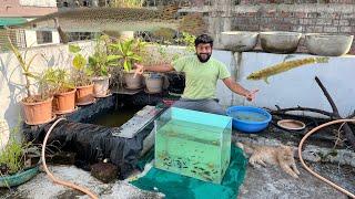 2 Months Ke Baad Pond Water Change shocking  result 