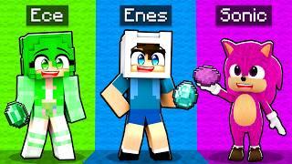 24 SAAT Boyunca TEK RENK Olursak NE OLUR?  Minecraft