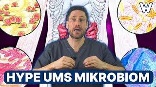 Mikrobiom: Fakten & Wahrheit über unsere Darmflora aus ärztlicher Sicht (Immunsystem? Krankheiten?)