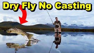 DAPPING - How to fly fish with DRY Flies with NO fishing experience (the easy way)