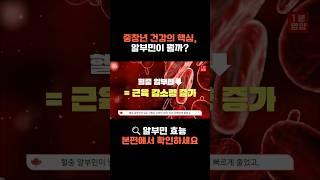 중장년 근력 및 면역력의 핵심 알부민, 그 효능은?