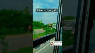 tosham to chandigarh ️ #shorts #ytshorts @Chimkandi