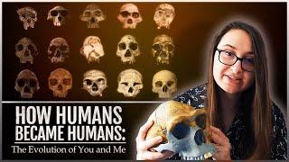 How Humans Became Humans: The Evolution of You and Me