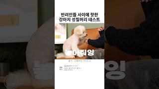 반려인들 사이에서 핫한 강아지 성질머리 테스트