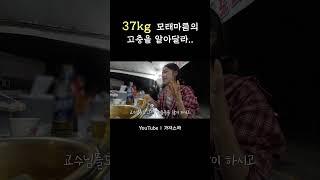 식욕 늘리는 방법 아시는 분.......