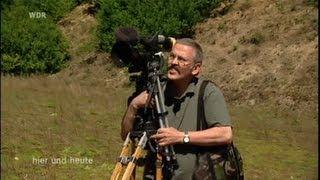 WDR Der mit dem Fuchs tanzt Helmut Sütsch Teil 2 Fuchsfilm