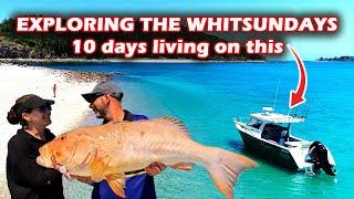 Liveaboard for 10 days exploring the Whitsundays | Ultimate boating & fishing holiday | How & Where