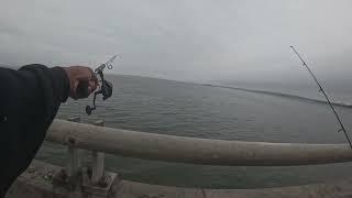 Crossbay bridge fishing