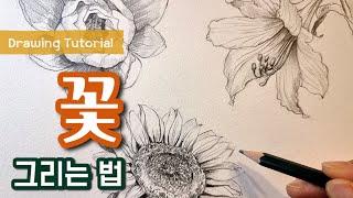 초보자를 위한 꽃그리기-2 [Drawing tutorials/그림 독학/그림 잘 그리는법]