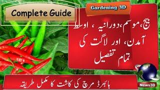 How to grow green chilli || Red Chilli | Hybrid Chilli Farming