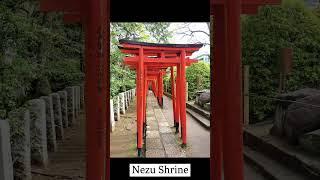 #yanesen #yanaka #nezu  #tokyo #japaneseculture #visitjapan#touristattraction #discoverjapan