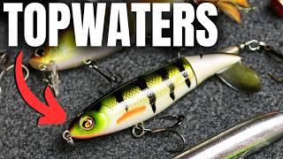 The LAST Topwater Video You'll Ever Watch (Topwater Masterclass)