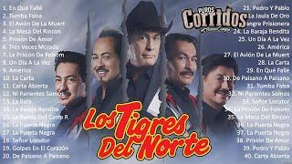 Los Tigres Del Norte Exitos Mix 2024 - En Qué Fallé