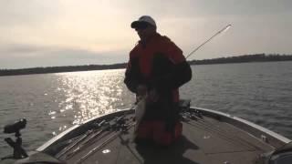 Bass Flurry with Swimbait