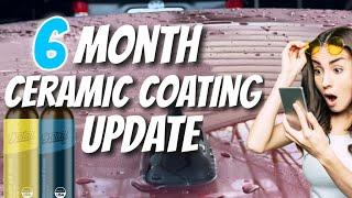 35 Coatings on 1 Car- 6 Months + 1 Month Update