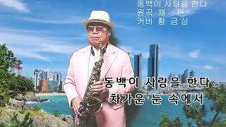 색소폰   동백이 사랑을 한다(채 현) 커버 황금상