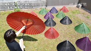 梅雨の晴れ間に和傘咲く　生産地の岐阜市で天日干し