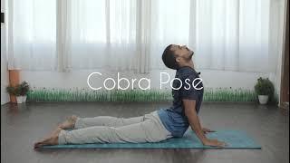 Yoga poses for Fat Loss | Yoga at Home | Yog4Lyf #shorts