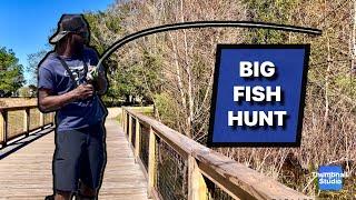 Can We Catch a Big Bass In This Summer Florida Heat? Bank Fishing Tips