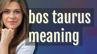 Bos taurus | meaning of Bos taurus