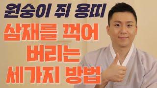 2023년 삼재띠 원숭이 쥐 용띠/삼재에 대박나는 수백년전 비밀 노하우